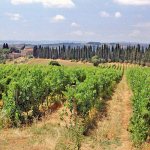 Chianti streek